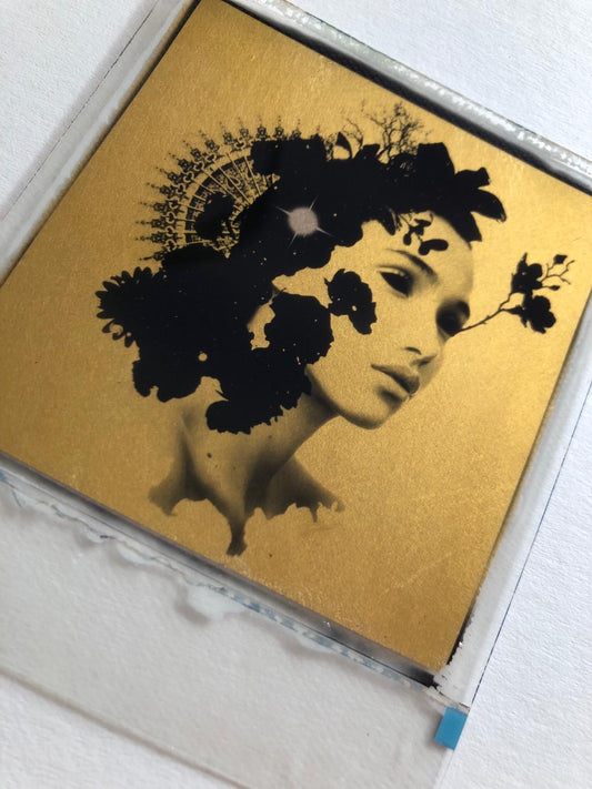 Andrew Millar: Stars Over The Storm Edition 8/25