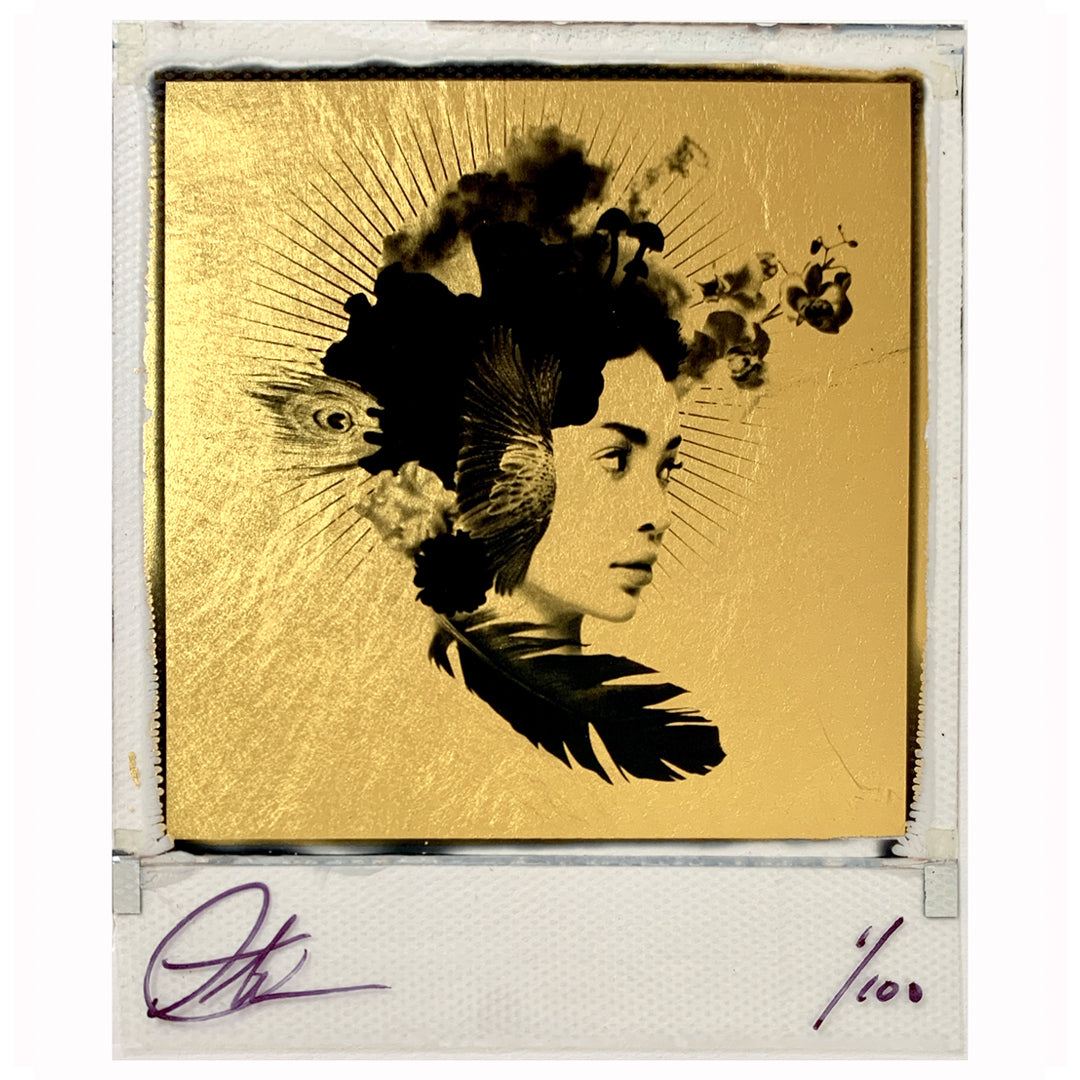 Andrew Millar: There Was Sun 15/100