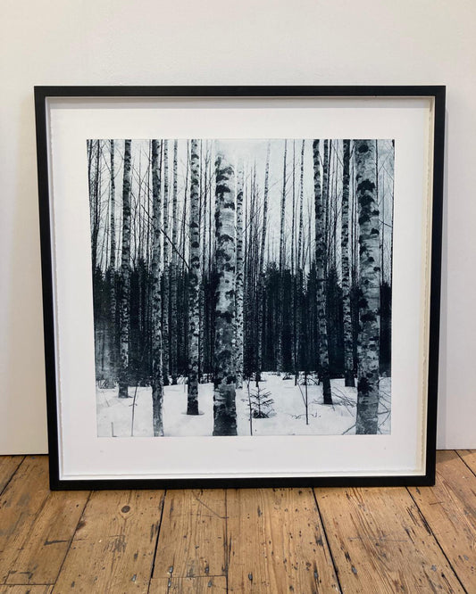 Sarah Duncan: Betulaceae