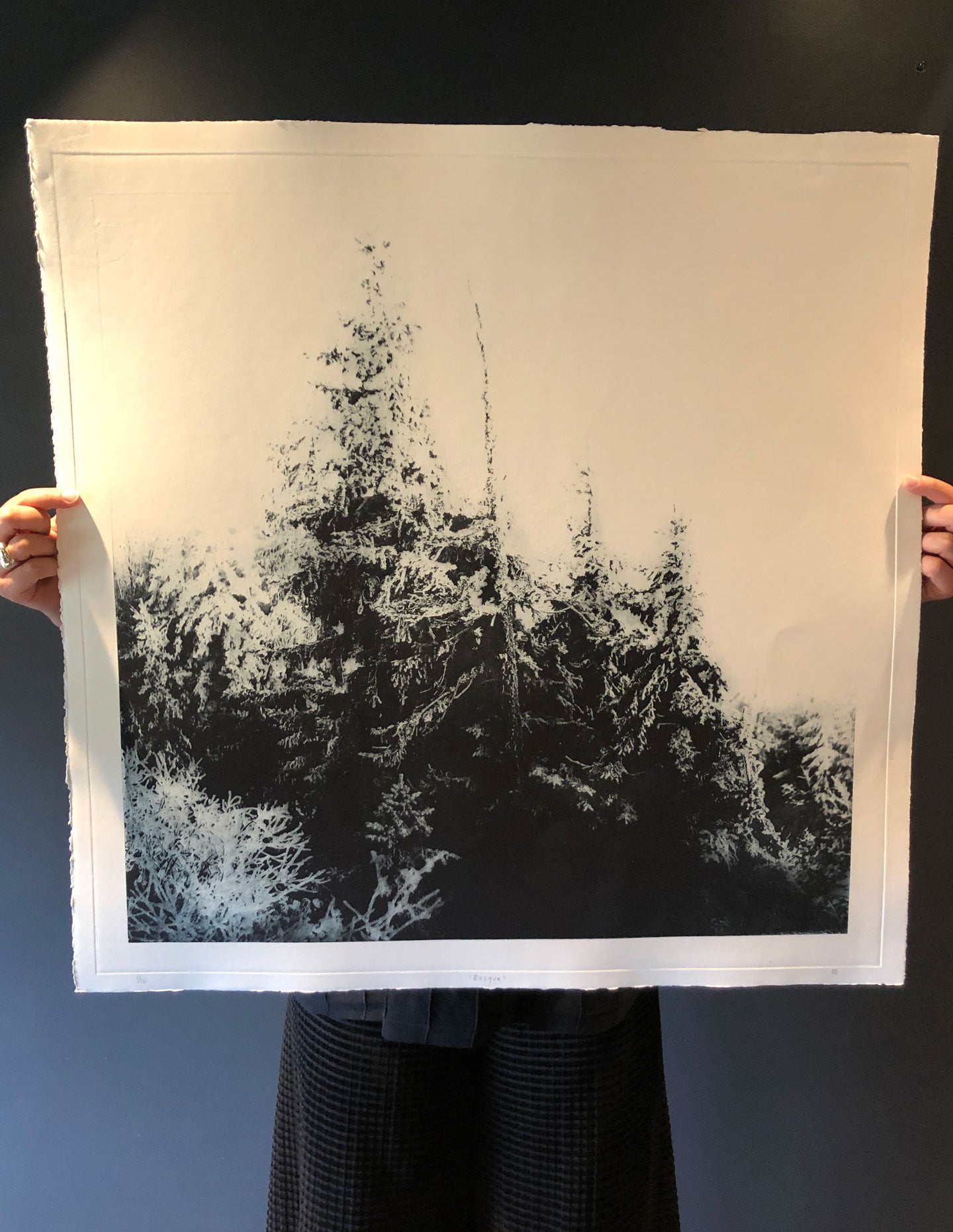 Sarah Duncan: Bosque