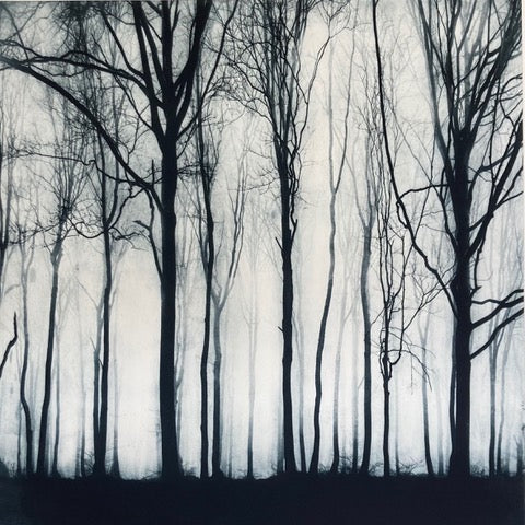Sarah Duncan: Columnar