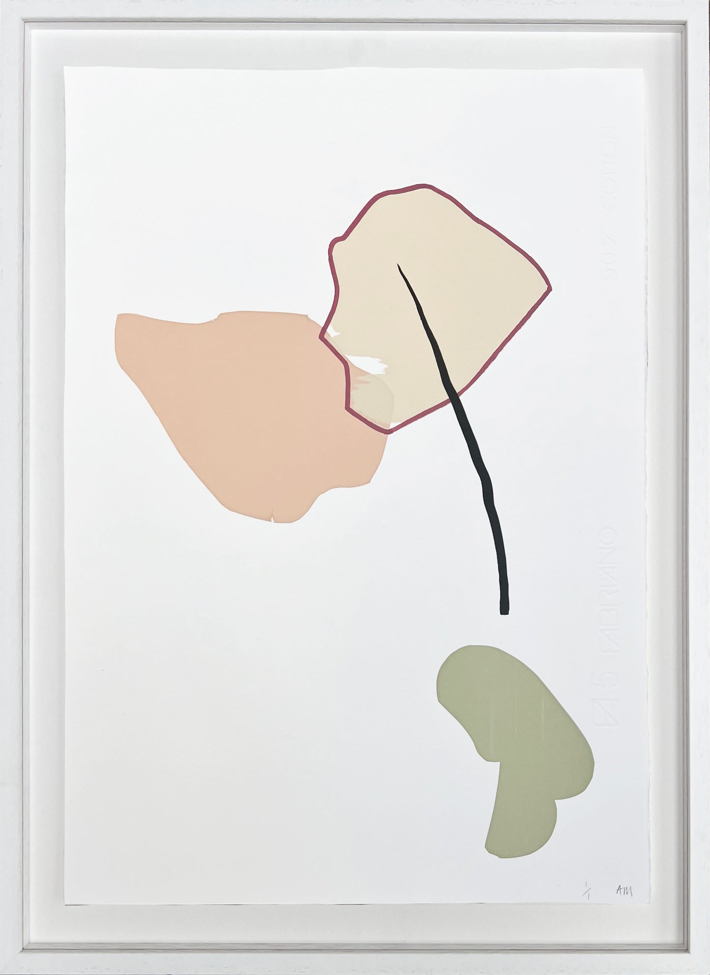Anna F MacDonald: Ghost Gum Modified X