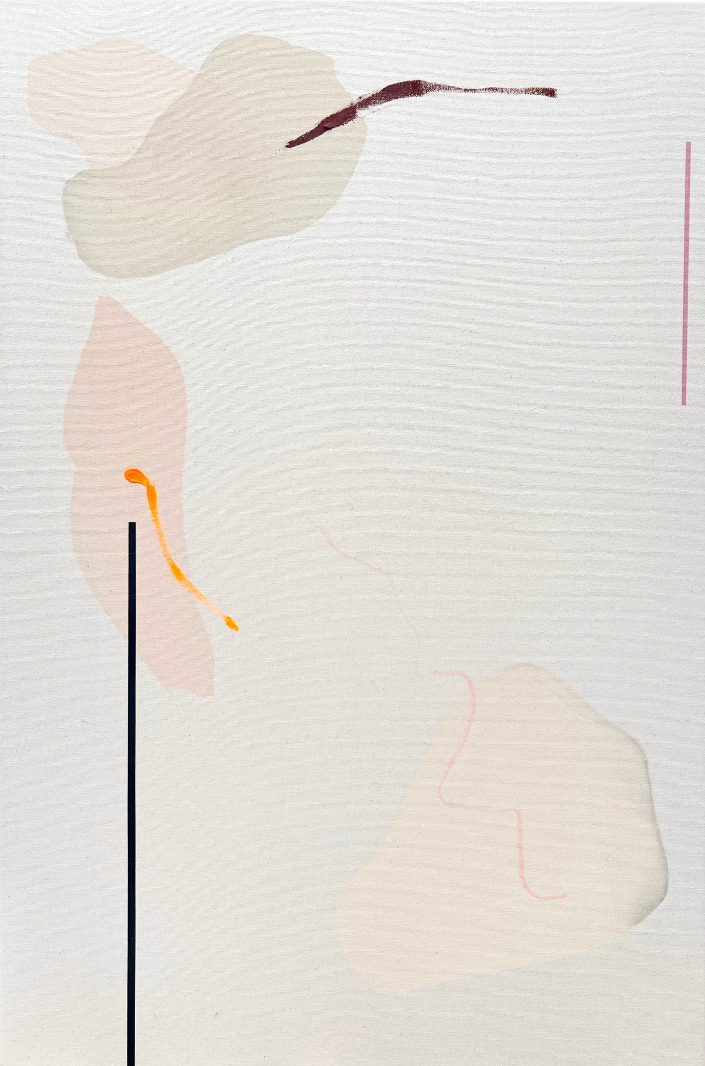 Anna F MacDonald: Ghost Gum VII