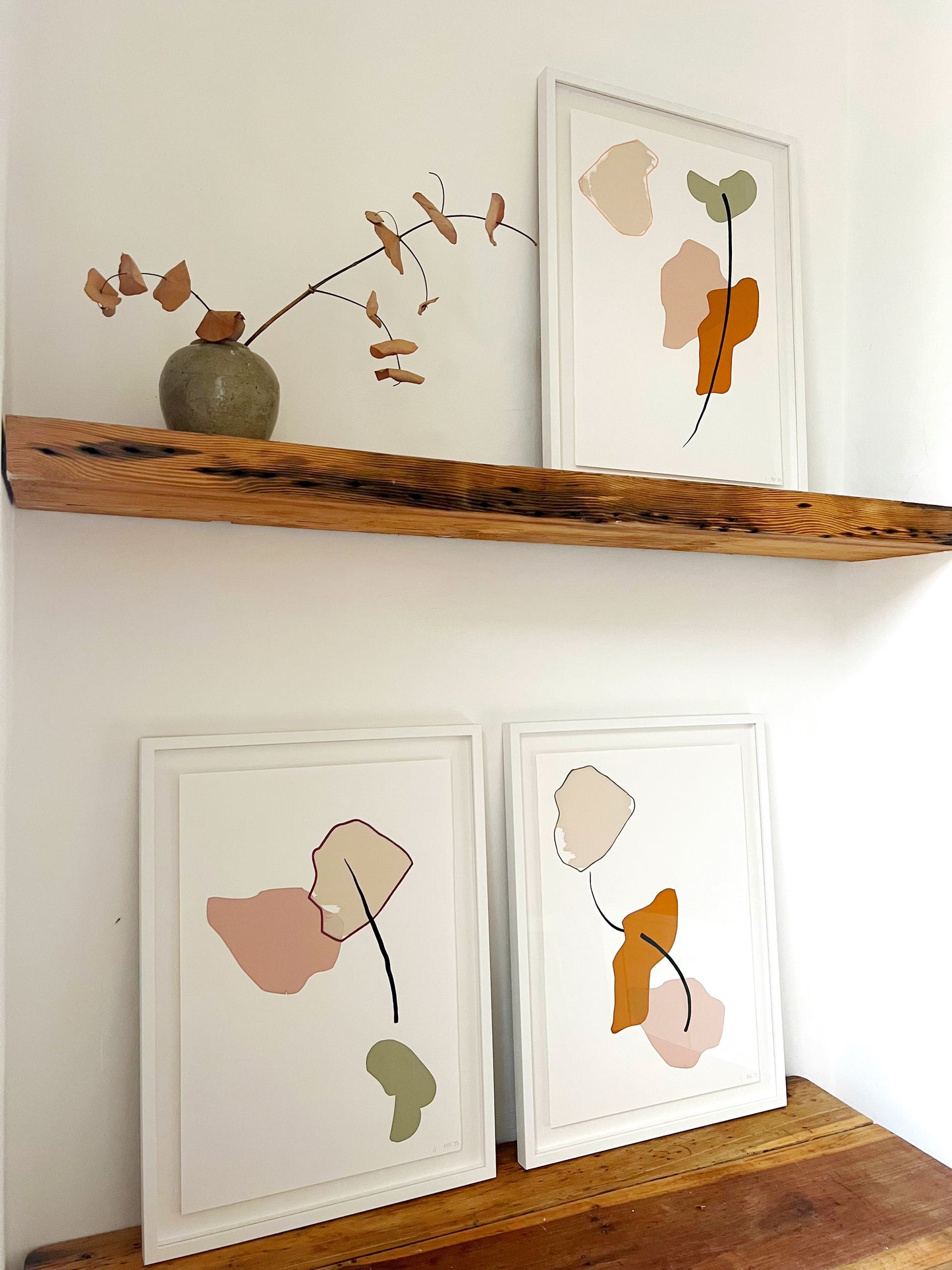 Anna F MacDonald: Ghost Gum Modified X
