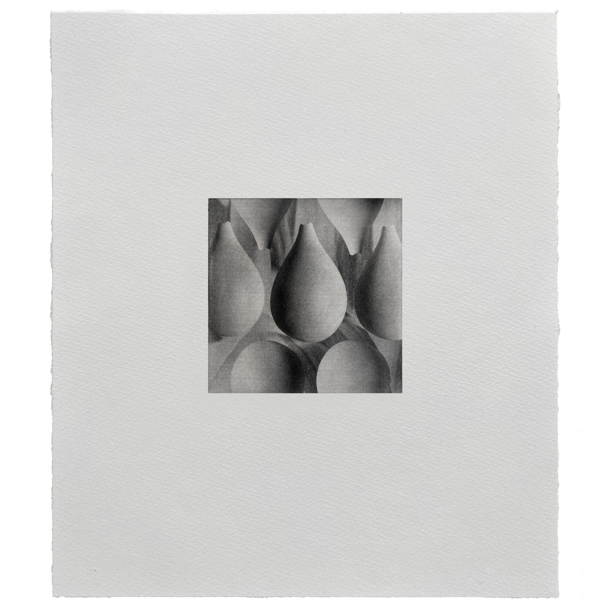 Ines Fernandez de Cordova: Coincidencia