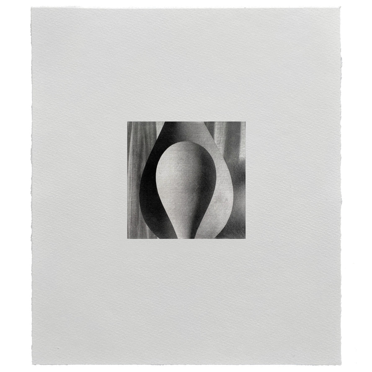 Ines Fernandez de Cordova: Foco