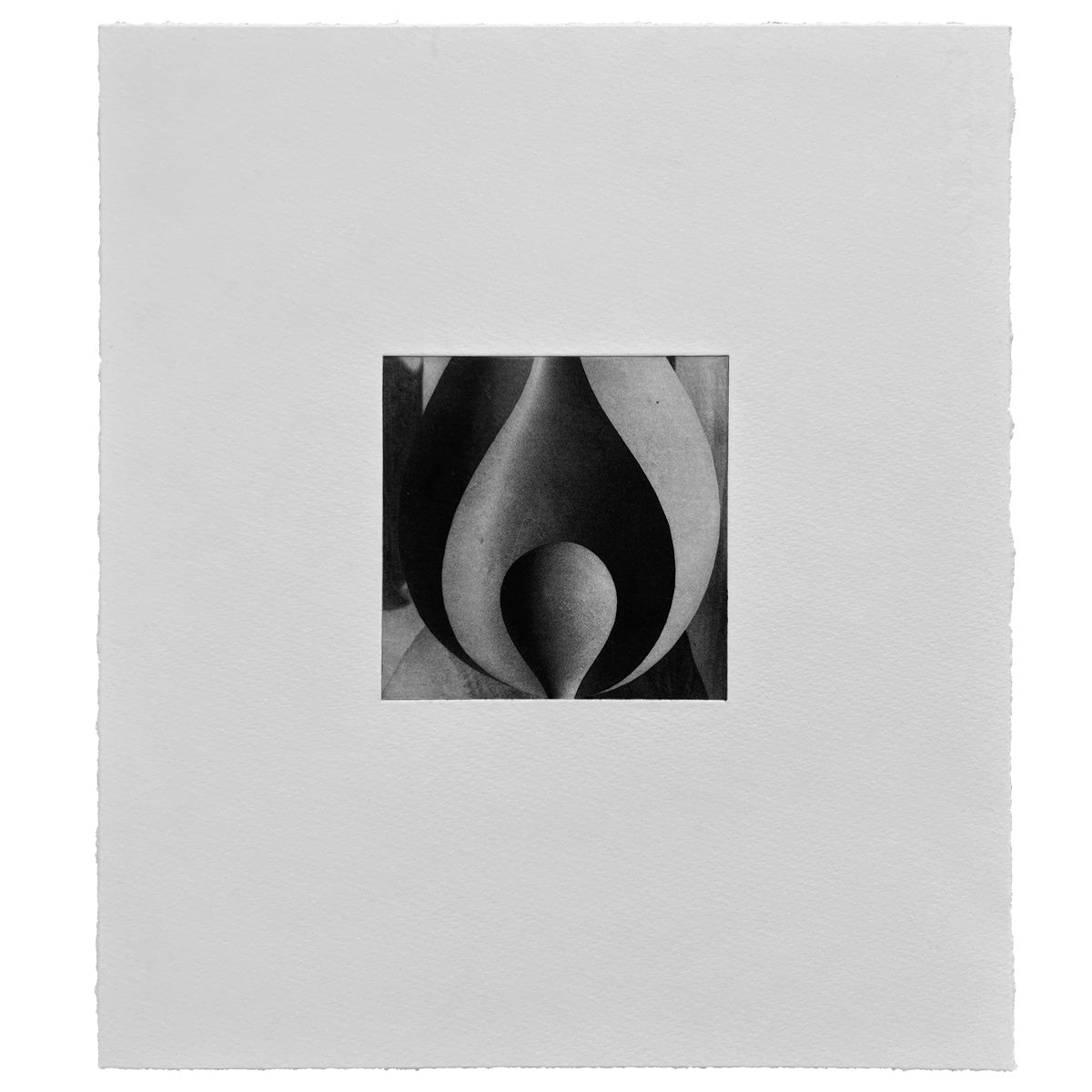 Ines Fernandez de Cordova: Llama A