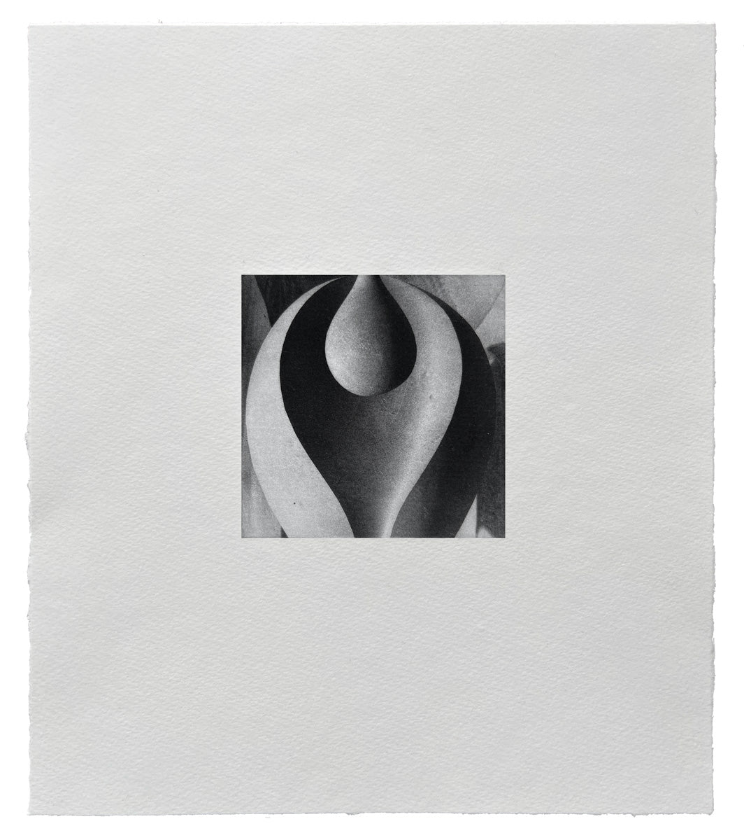 Ines Fernandez de Cordova: Llama B