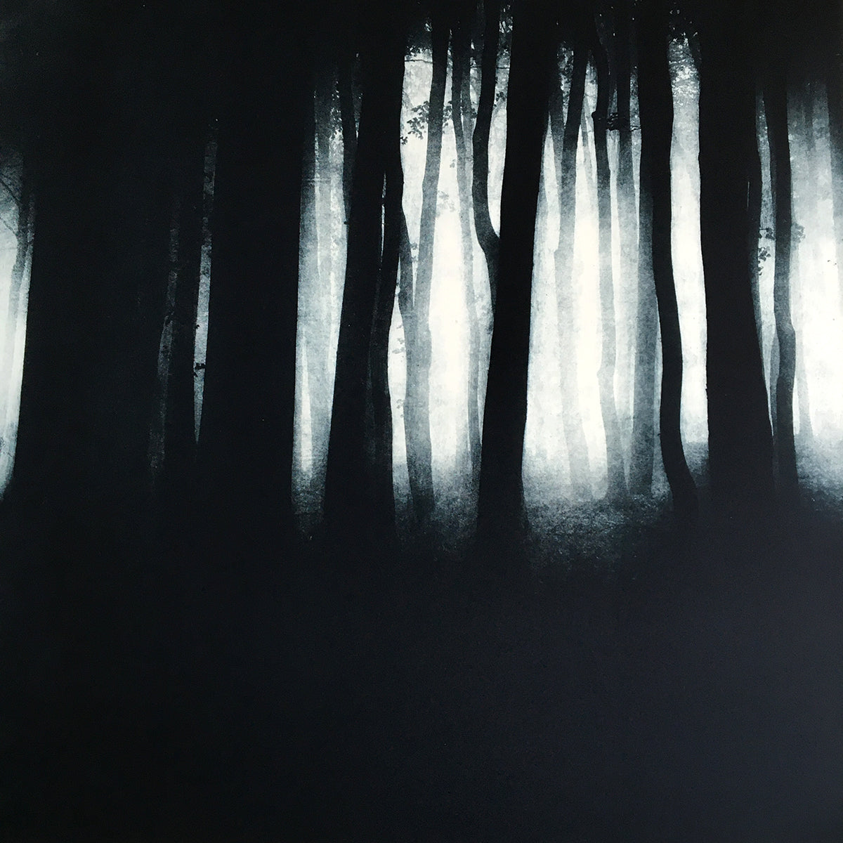 Sarah Duncan: Valo