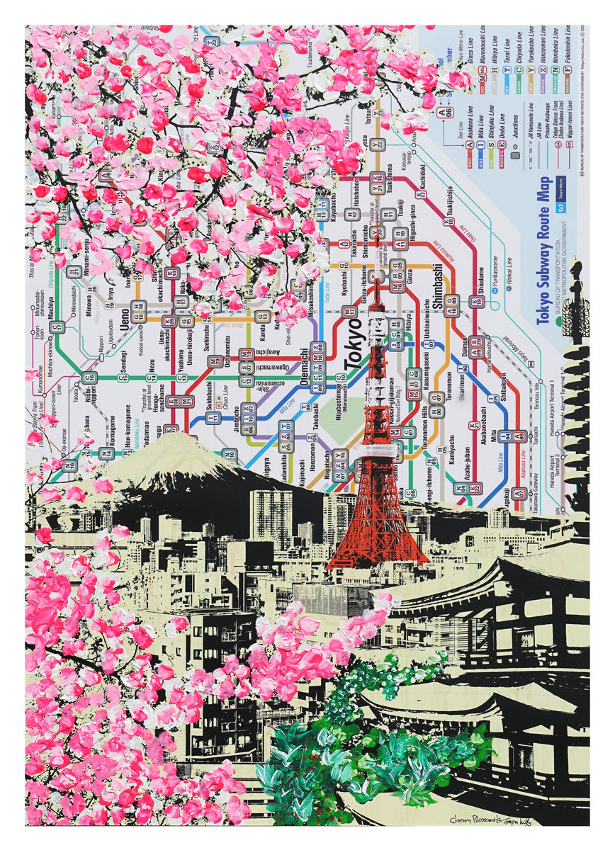 Jayson Lilley: Cherry Blossoms
