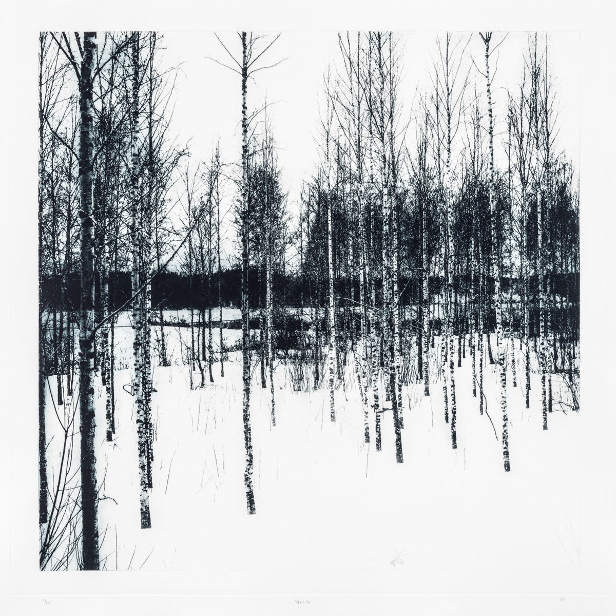 Sarah Duncan: Neula