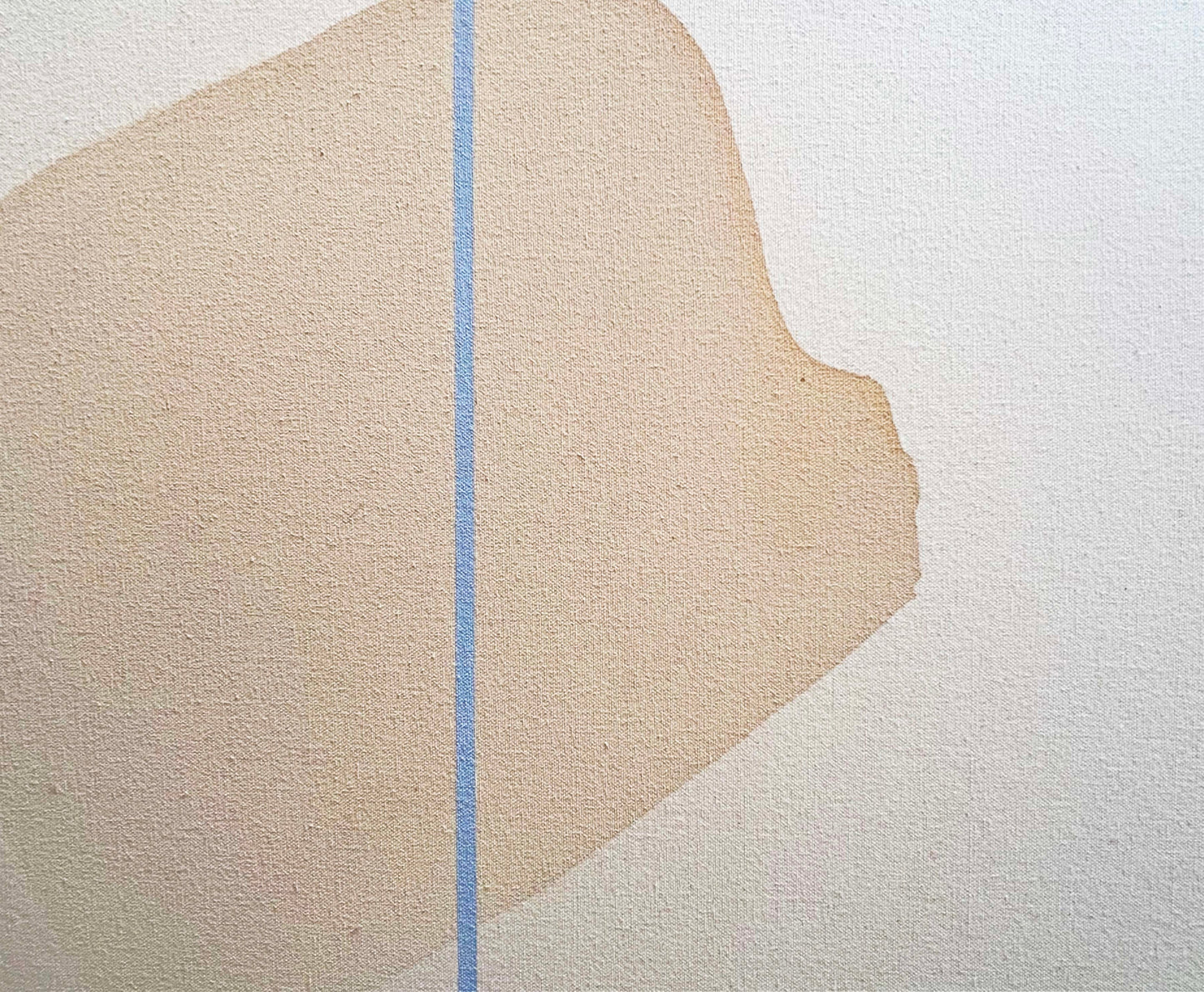 Anna F MacDonald: Ghost Gum Magnified II