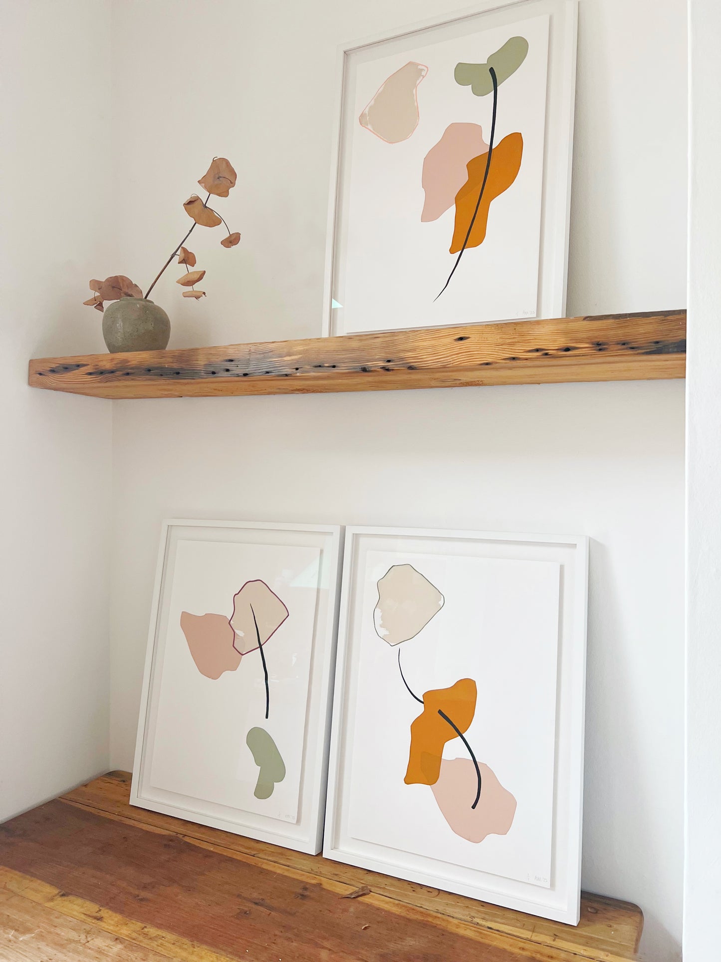 Anna F MacDonald: Ghost Gum Modified X