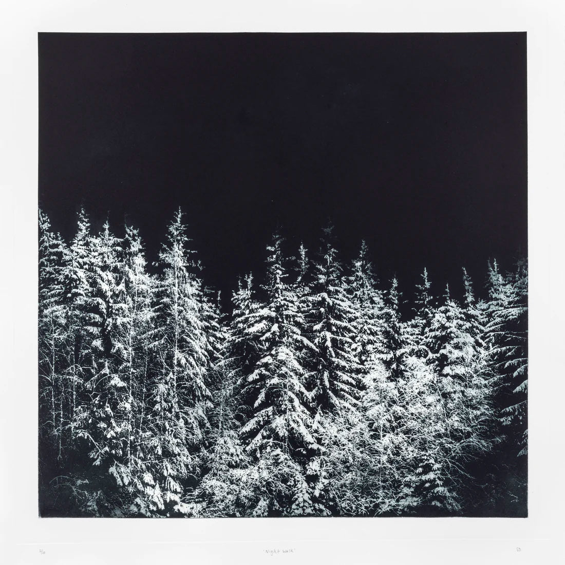 Sarah Duncan: Night Walk