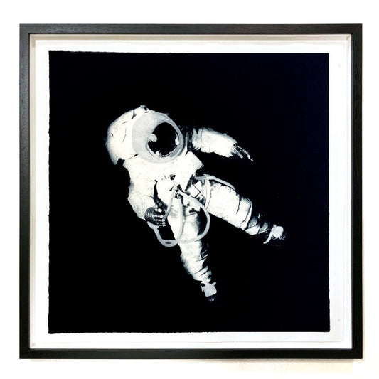 Sarah Duncan: Skylab