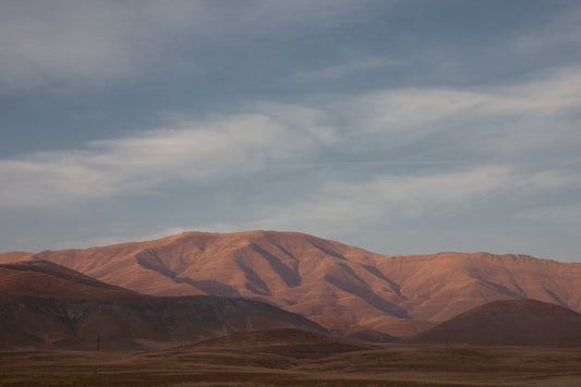 Bex Wade: A second skin