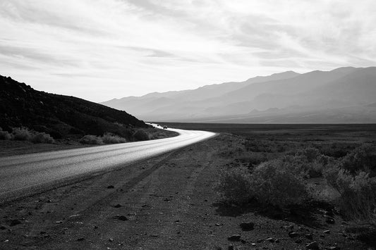 Bex Wade: You came to me