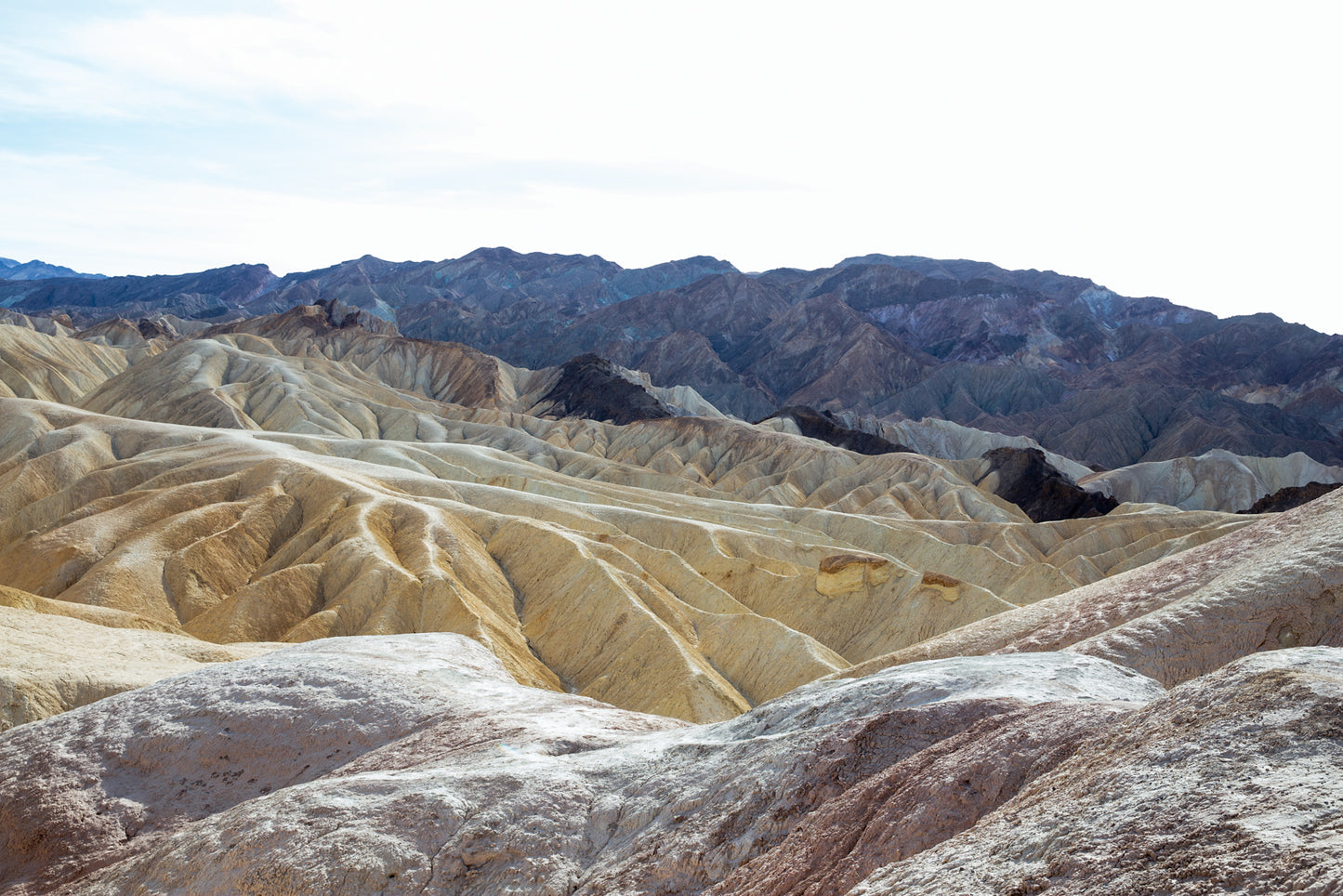Bex Wade: Of raining lungs