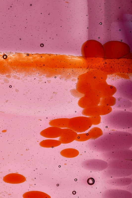 Amy Cushing: Paradise Lantana