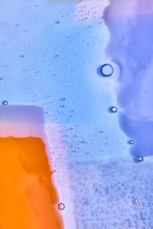 Amy Cushing: Paradise Anemone