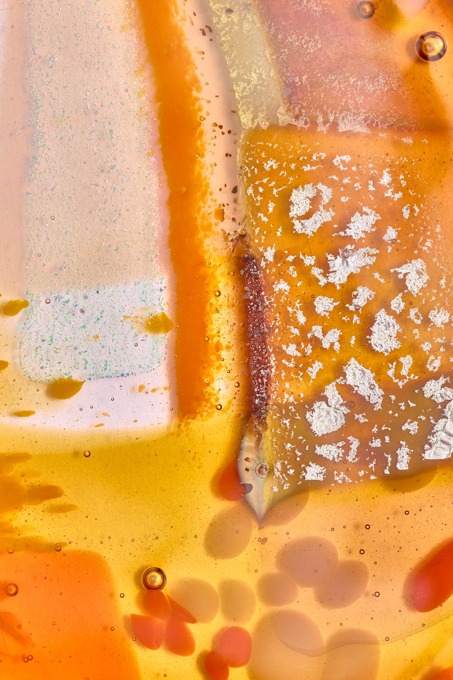 Amy Cushing: Paradise Passiflora