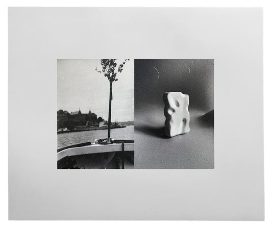 Ines Fernandez de Cordova: Arbol
