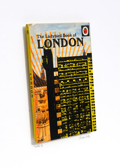 Jayson Lilley: Ladybird Book – Trellick