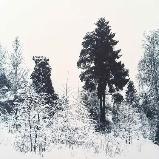 Sarah Duncan: Boreal