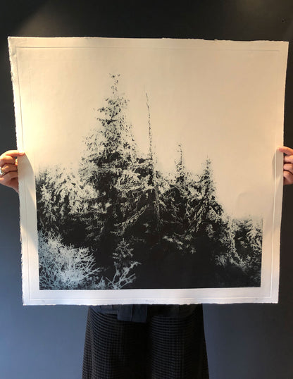 Sarah Duncan: Bosque