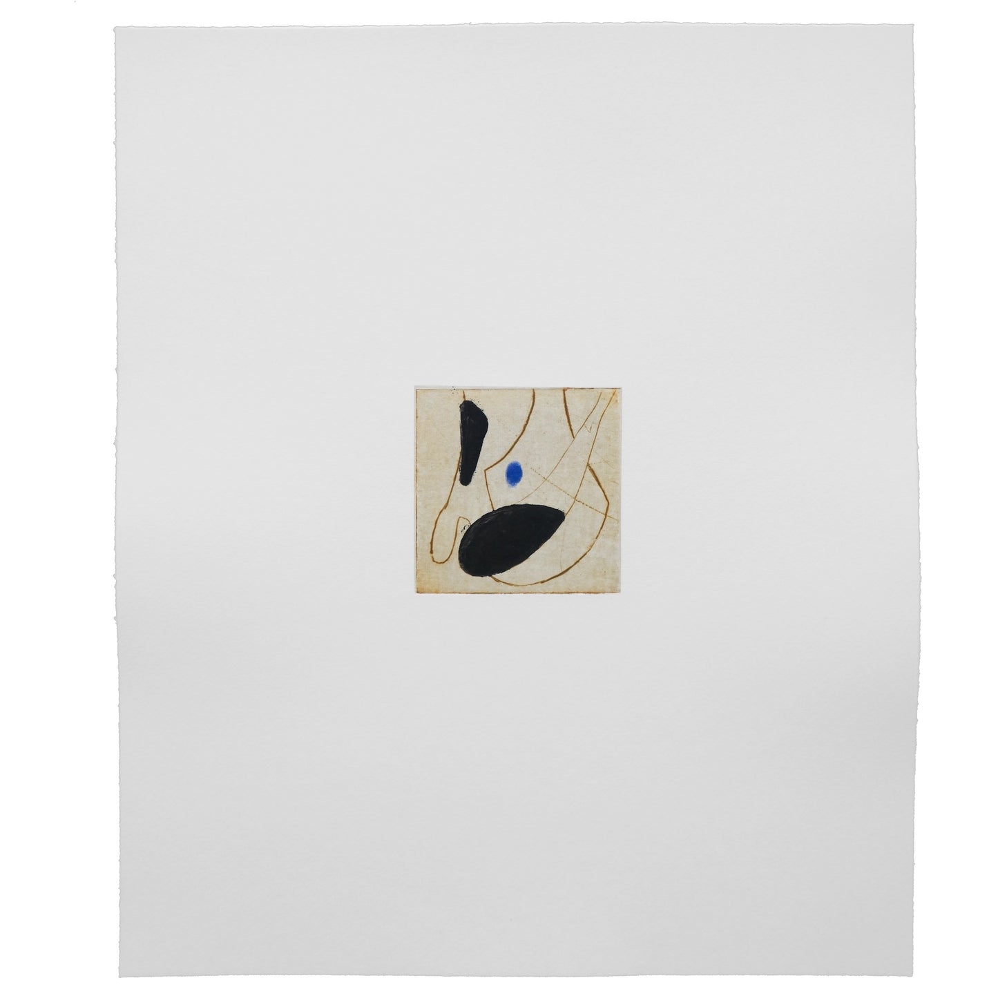 Ines Fernandez de Cordova: Celula 2