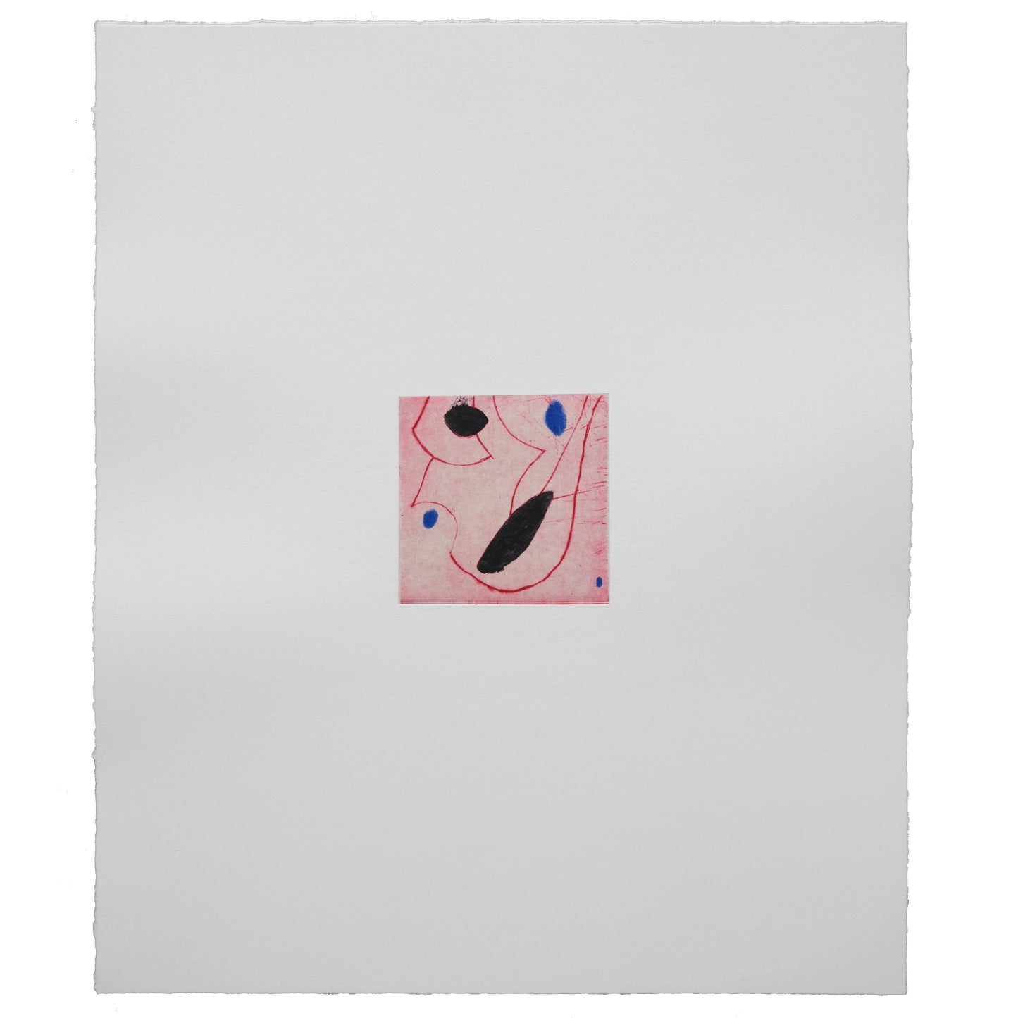 Ines Fernandez de Cordova: Celula 3