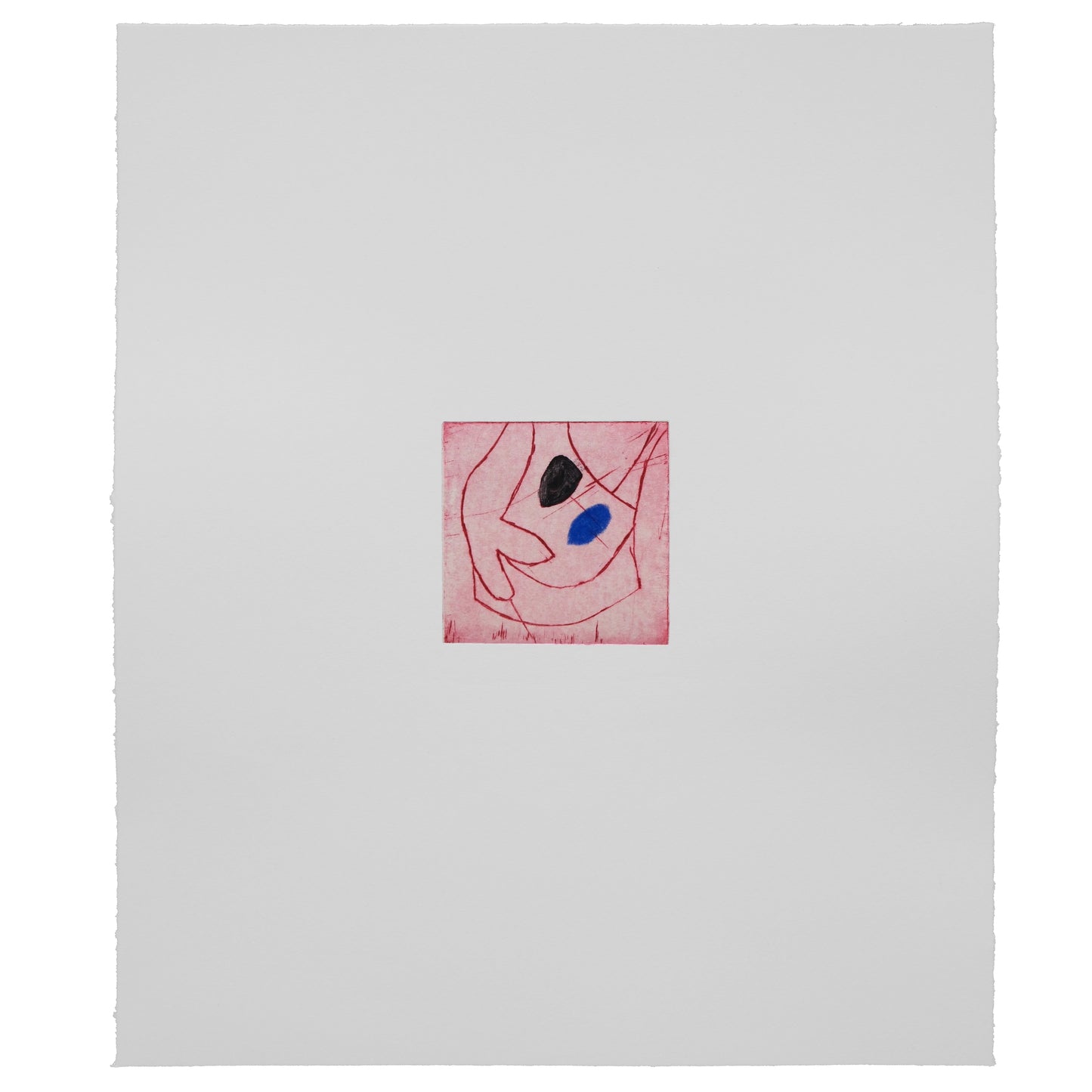 Ines Fernandez de Cordova: Celula 4