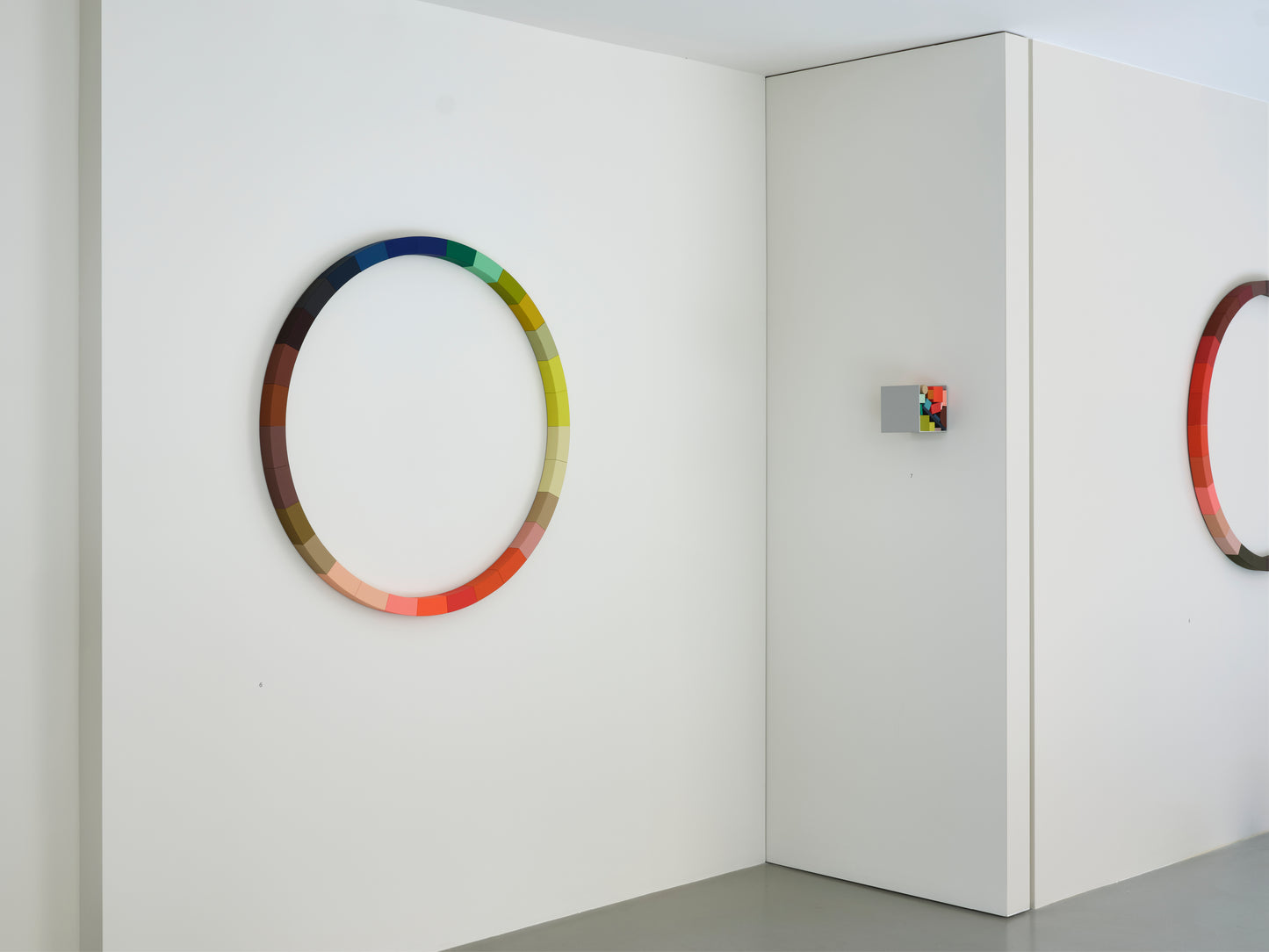 Sophie Smallhorn: Colour Wheel 1