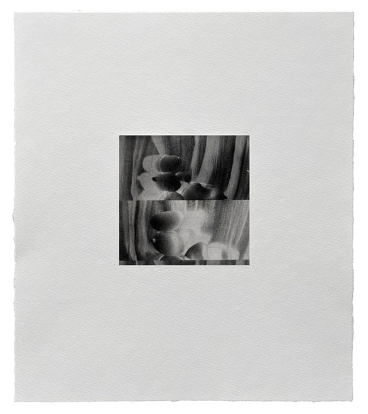 Ines Fernandez de Cordova: Luz