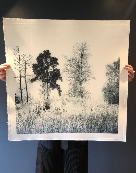 Sarah Duncan: Metsa