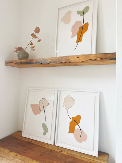 Anna F MacDonald: Ghost Gum Modified IX