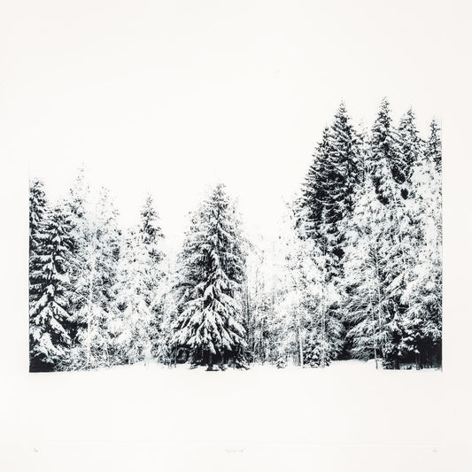 Sarah Duncan: Solstice