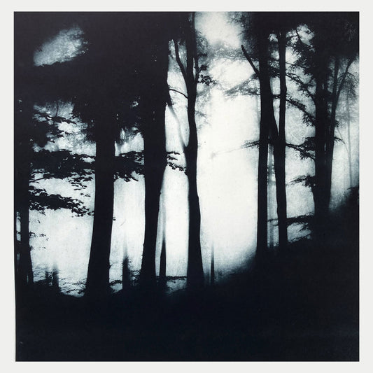 Sarah Duncan: Tulva